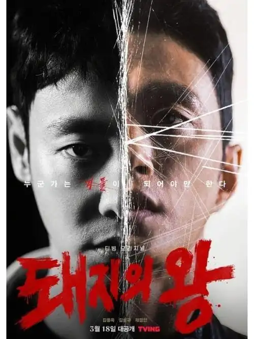 王牌对王牌综艺海报-段友影视高清播放